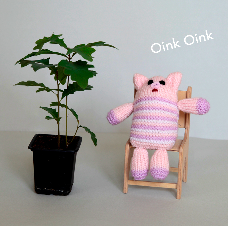 Piggy Gochie - knitting pattern